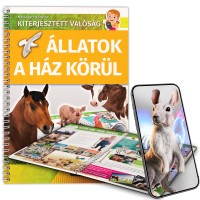 Állatok a ház körül