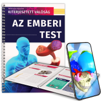 Az emberi test
