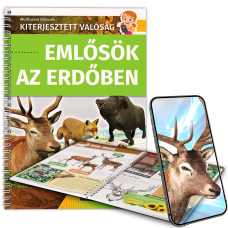 Emlősök az erdőben Emlősök az erdőben