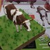 Animals around the house