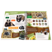 Mammals in forests